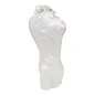 Wazon YOUNG LADY Róże 10x14x26 cm